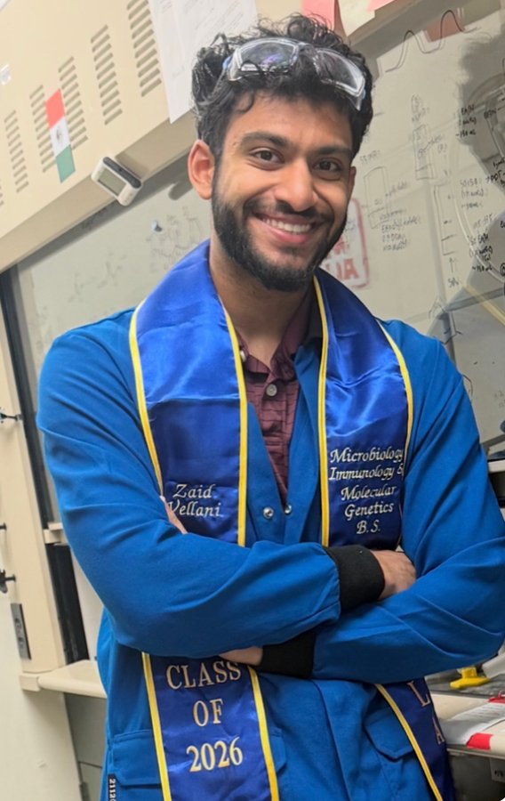 Zaid Vellani